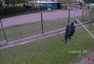 Caméra IP - UY