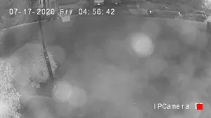 Caméra IP - US