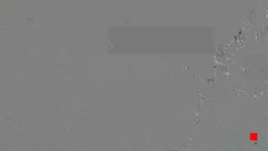 Caméra IP - US