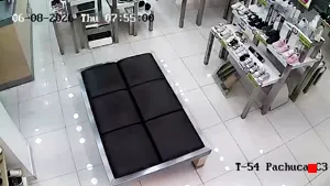Caméra IP - MX