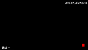 Caméra IP - HK