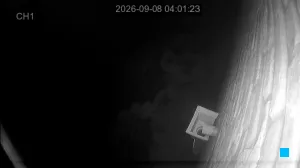 Caméra IP - KR