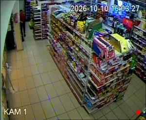 Caméra IP - PL