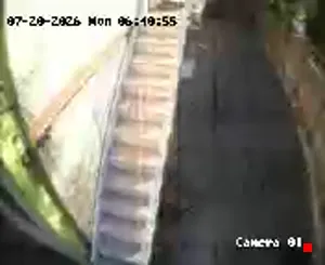 Caméra IP - IR