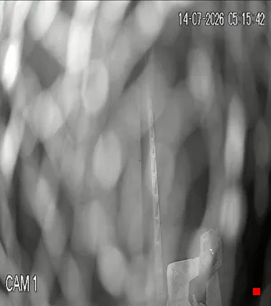 Caméra IP - ES