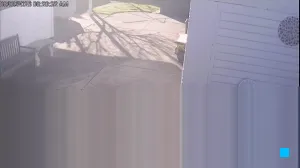 Caméra IP - AU