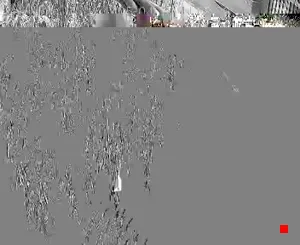 Caméra IP - IR