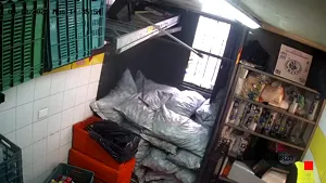 Caméra IP - MX