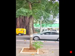 Caméra IP - BR