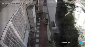 Caméra IP - IT