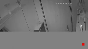 Caméra IP - IT