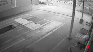 Caméra IP - TH