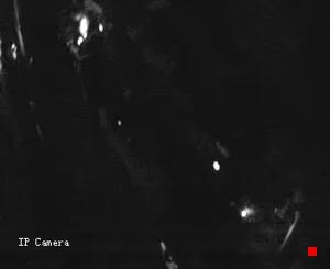 Caméra IP - IT