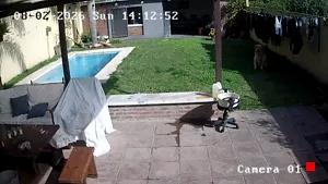 Caméra IP - UY