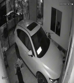 Caméra IP - MX