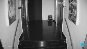 Caméra IP - IN