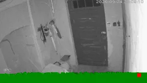 Caméra IP - PL