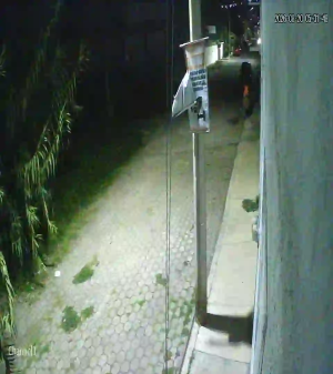 Caméra IP - MX