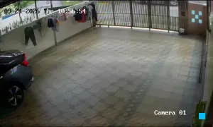 Caméra IP - MY