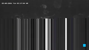 Caméra IP - IN