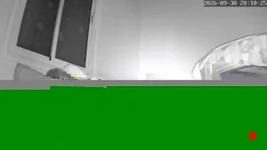 Caméra IP - MA