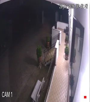 Caméra IP - IT