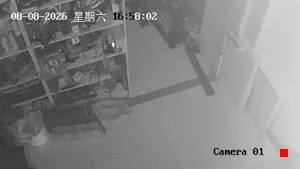 Caméra IP - CN