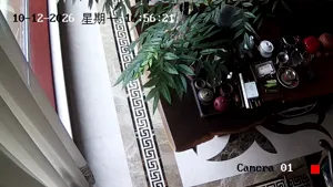 Caméra IP - CN
