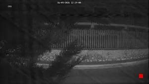 Caméra IP - IT