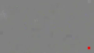 Caméra IP - US