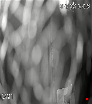 Caméra IP - ES