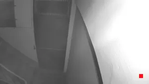 Caméra IP - TW
