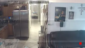 Caméra IP - US