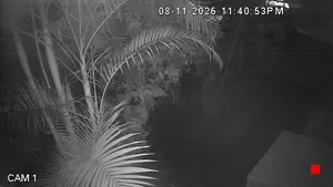 Caméra IP - IN