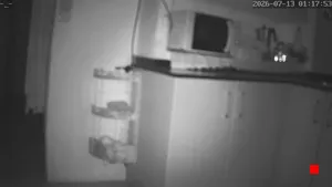 Caméra IP - ES