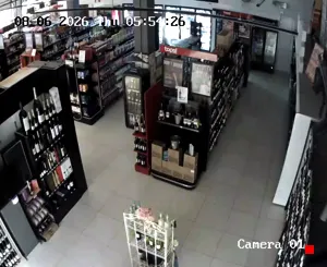 Caméra IP - ZA