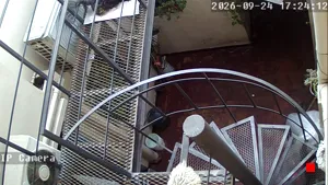 Caméra IP - AR