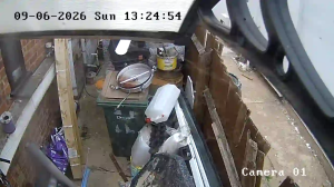 Caméra IP - IN