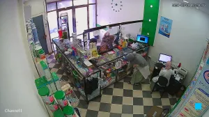 Caméra IP - DZ