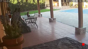 Caméra IP - ES