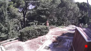 Caméra IP - IT