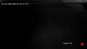 Caméra IP - US