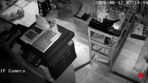 Caméra IP - IR