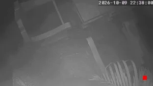 Caméra IP - TH
