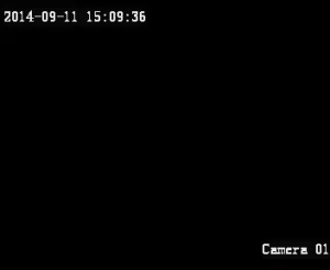 Caméra IP - US