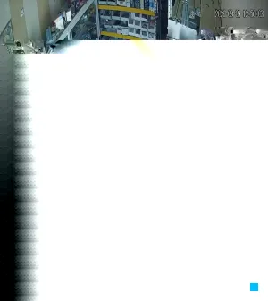 Caméra IP - DZ