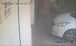 Caméra IP - IT