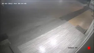 Caméra IP - IN