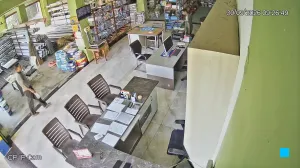 Caméra IP - IN
