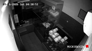 Caméra IP - PL